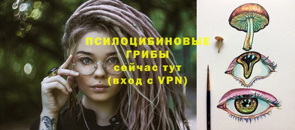 сатива Магадан