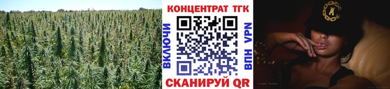 где купить наркоту Балаково Дистиллят ТГК THC oil