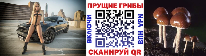 купить   Балаково  Псилоцибиновые грибы мухоморы 